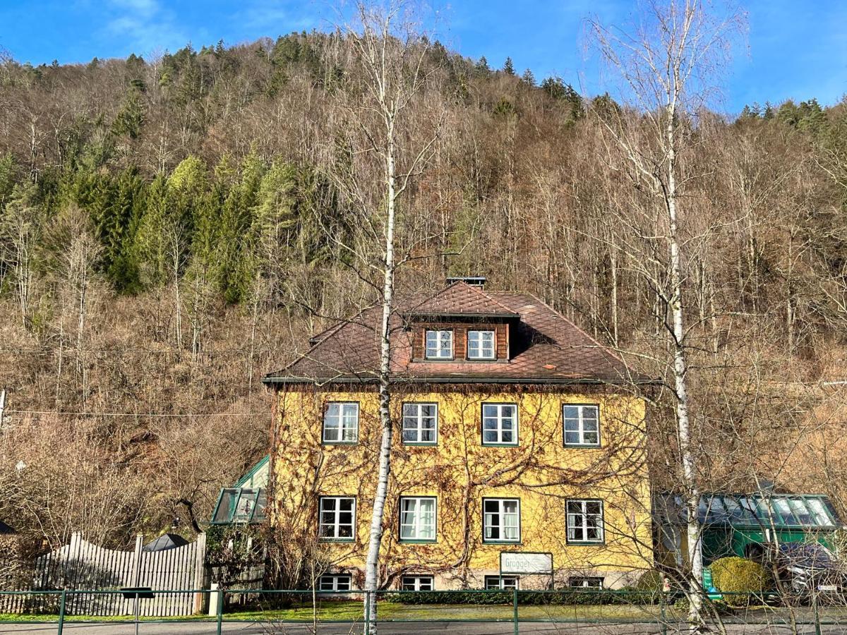 Grogger Apartment Weyer Markt