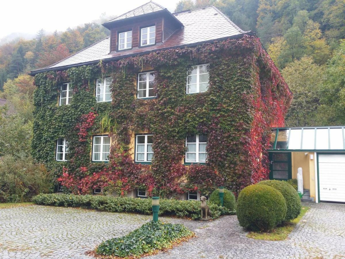 Grogger Apartment Weyer Markt